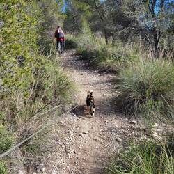 Wir durchwandern ein schönes Waldgebiet.
