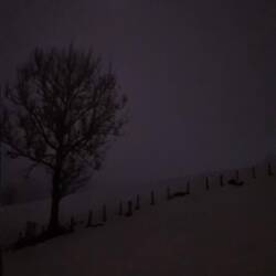 zurück war's dann weniger spaßig...