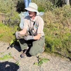 Talk on evasive plants!!!!