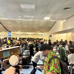 Lange rijen voor de biosecurity