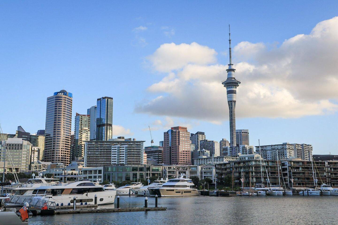 Skyline mit Aucklands Skytower