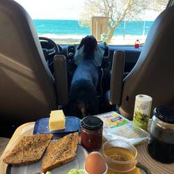 Frühstücks-Fernsehen 😎