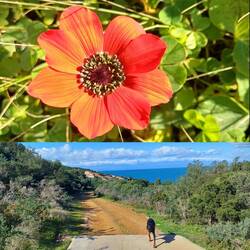 DANKE für die Blume mein Schatz! 😘😘😘