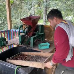 ..dann gesäubert...