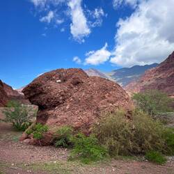 Das soll ein Frosch sein.. aber ich finde, es sieht aus wie ein Klippschliefer! Oder, Anni?