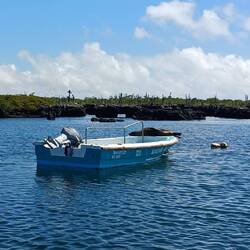 Un intrus sur le bateau