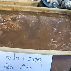 sauce poisson ( poisson qui "fermente" dans son jus )