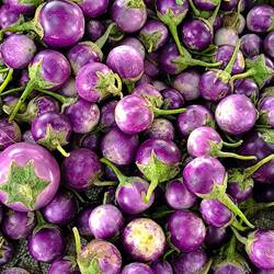 mini aubergines