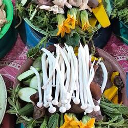 assortiment de légumes prêts à l'emploi pour une soupe