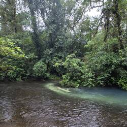 Interessante Farbmischung