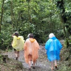 Die einzigen bunten ,Vögel ', die wir heute sehen