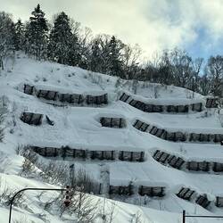 loaded snow supports!