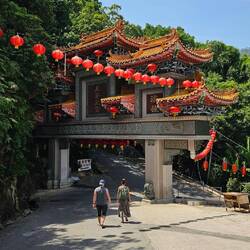 Der Tempel liegt in Mitten eines Jungels.