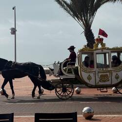 Diese Kutschen sieht man hier ab und an