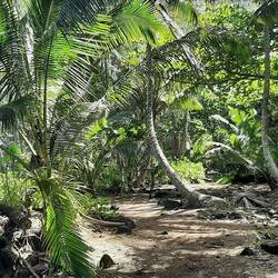 Sentier long de 5 km