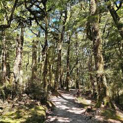 Umkleide hinterm Baum ;)