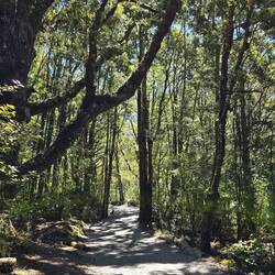 Wanderweg zu den Blue Pools