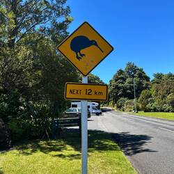 Immerhin auf der Tafel sehen wir Kiwis, in echt leider nicht...
