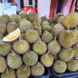 Durian-(Stink-) Früchte ☺️