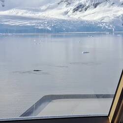 View from the Crows Nest.