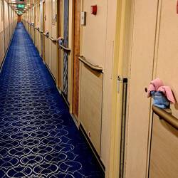 The cabin crew had some fun planting towel-penguins at all cabin doors.