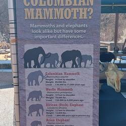 Wie immer alles größer hier.