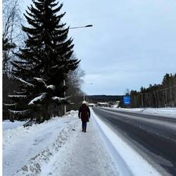 du bist in schweden, wenn du direkt an der E14 spazieren musst