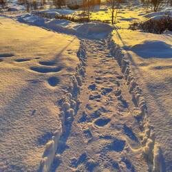 Unglaubliche Farben wieder ...