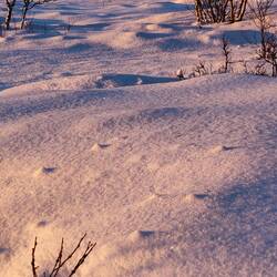 Leider kommt das Glitzern auf den Fotos nicht richtig raus