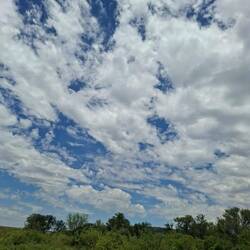 Some more clouds! My soul food.