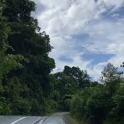 Zur Warnung wird in Kurven gehupt!