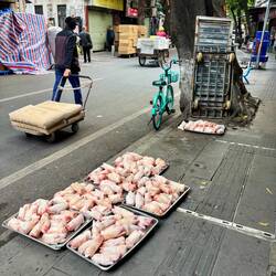 De varkenspoten even laten uitwaaien