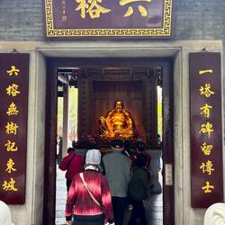 De Temple of the Seven Banyan Trees