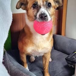 Den geb ich nicht her 😄