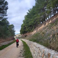 Noch stehen die Bäume oben rechts.