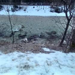 Wir wohnen an der Isar