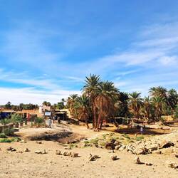 Stopp an einer Oase zum Mittagessen 😋