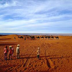 Los geht's mit den Dromedaren zur Erg Chegaga, der höchsten Sanddüne Marokkos 🐪