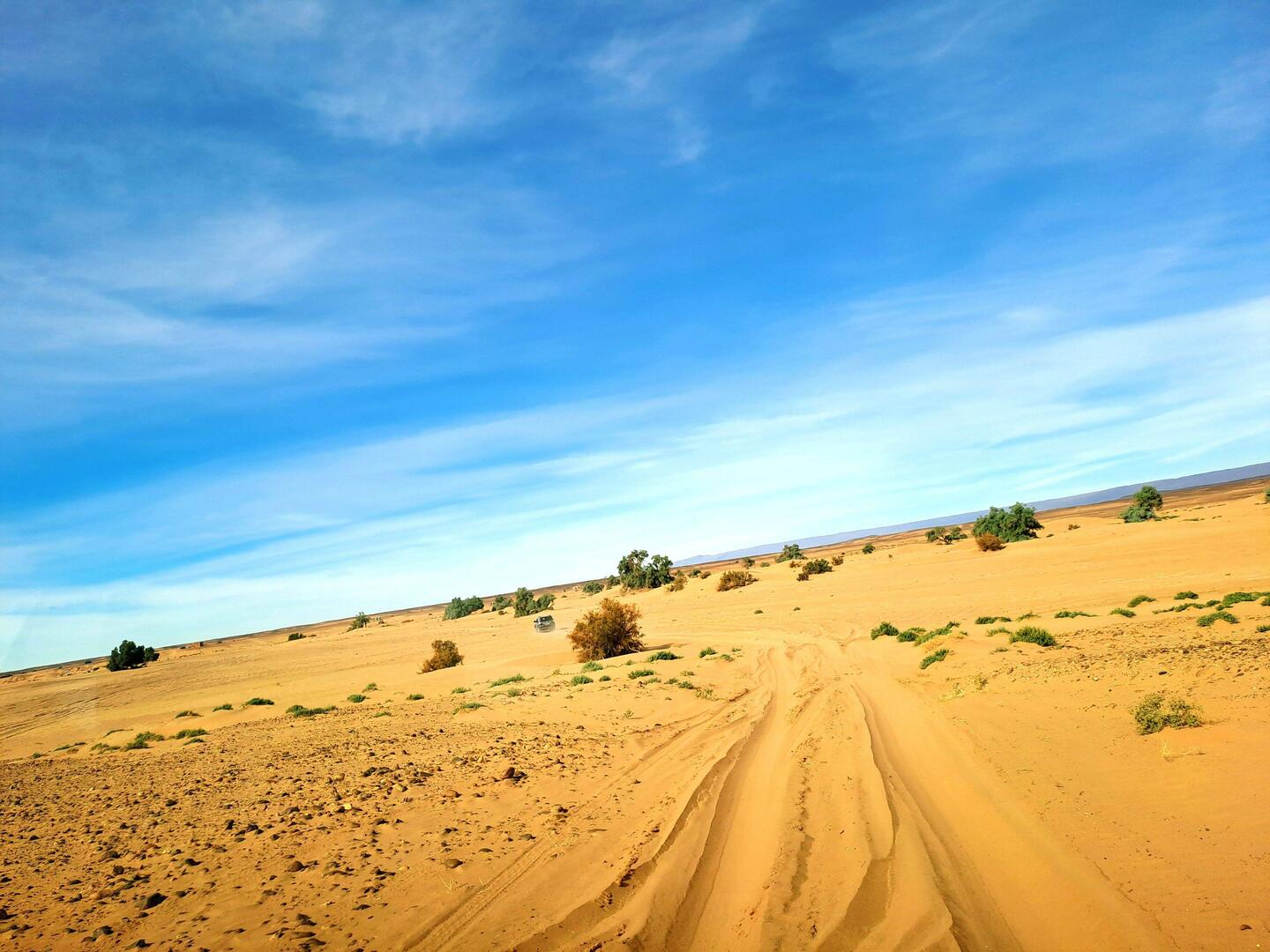 Los geht's mit dem Allrad Geländewagen 😎...