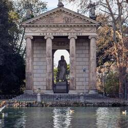 I Seiatybia Eskulapa w parku miejskim