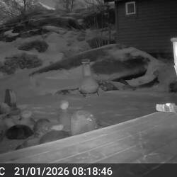 Er kommt immer mit Schwung