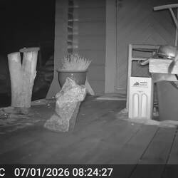 Wenn die Blechschüssel klappert, weiß ich, das ich Besuch habe