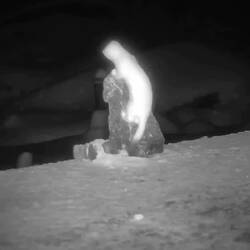 In der Kälte friert das Futter an den Steinen fest