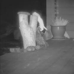 Ermy sportlich ☺️