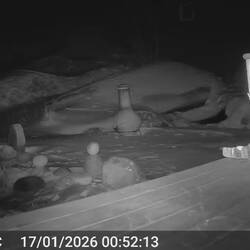 Der Steingarten Parcours