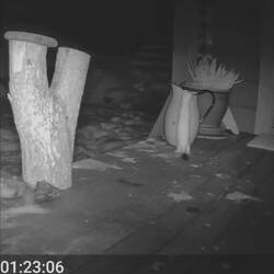 Jetzt testet Ermy den Krug zum 1. mal