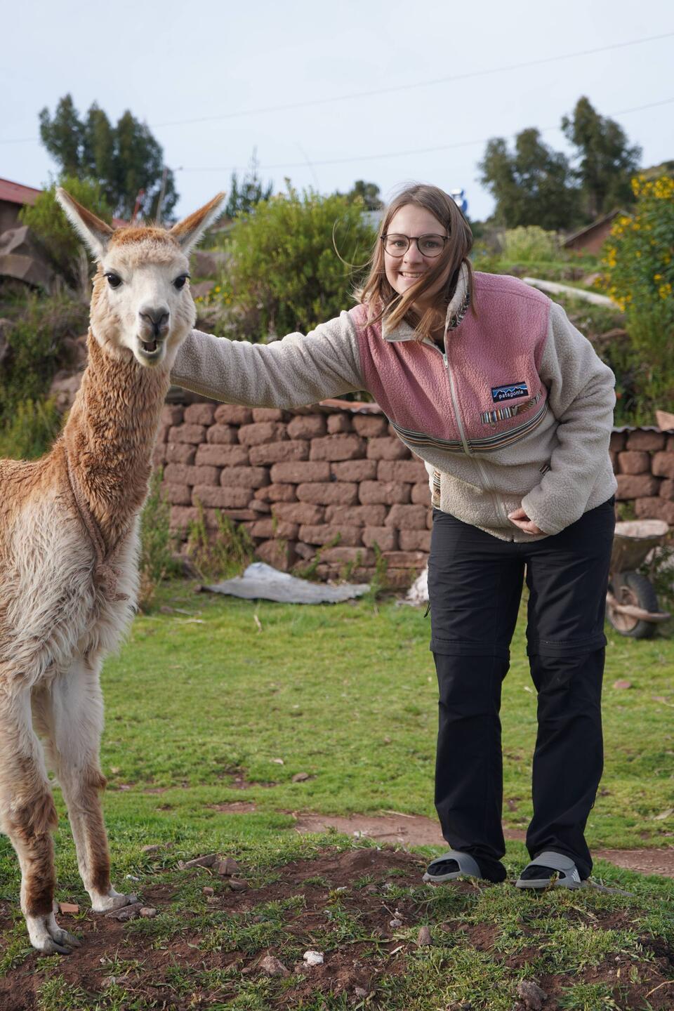 Pepe und Bigna. Dieses Alpaka lebt dort auf dem Anwesen und liebt Brot.