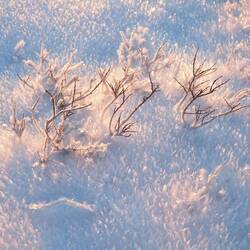 Eine Zauberwelt vor meiner Haustür