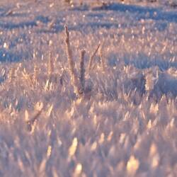 Die Kristalle sind noch einmal gewachsen...