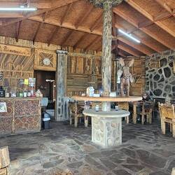 All desert cacti and materials